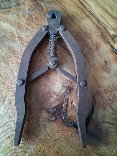 Pince coupante ressort en - pince,