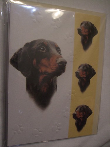Carte enveloppe chien - +,