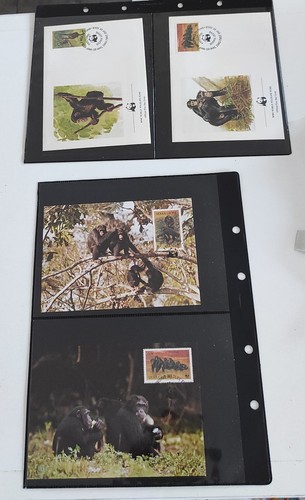 Wwf sierra leone - wwf,