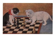 Chats, chatons . CPA 6546