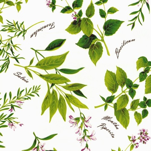 Nappe toile cirée herbs - en,