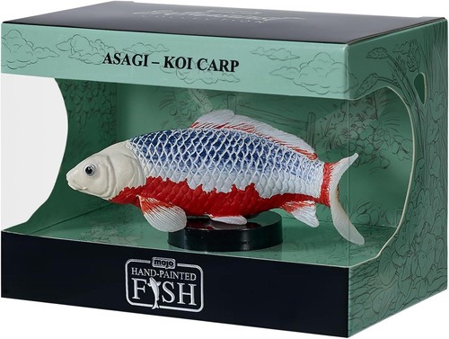 Asagi koi carpe passionné - asagi,
