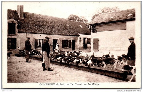 Combreux chenil la - 45,
