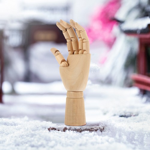 Modèle main articulée - ,