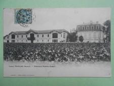 PAUILLAC.  (. MÉDOC. ).     