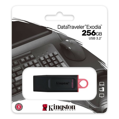Clé usb kingston 256 go - 3.2,