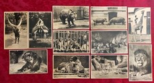 11 postcards wild animals zoological garden - Antwerp (Belgium)
