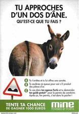 Carte Postale - Animaux - Anes
