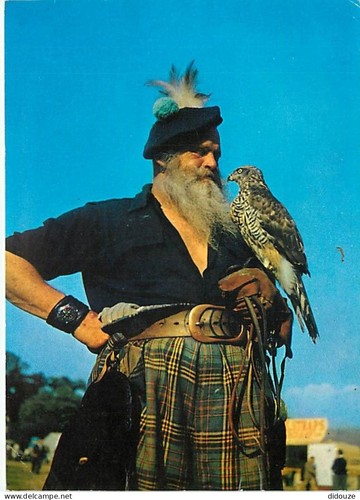 Carte postale animaux - carte,