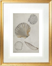 André DUFFOUR (1926-2016)