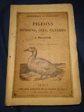 Pigeons, Dindons, Oies