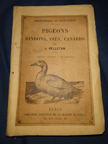 Pigeons dindons oies - pigeons,,