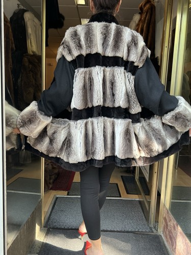 Chinchilla avec veste - chinchilla, en