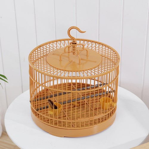 Cage oiseaux à - cage,