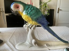 Très jolie Perroquet En