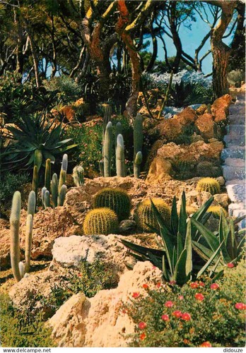 Carte postale fleurs - -,