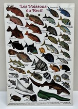 Belle fiche illustrée