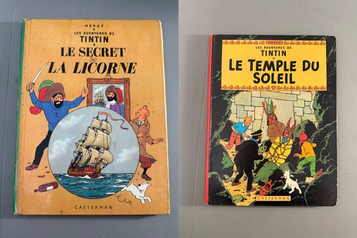 Lot tintin secret - tintin, le