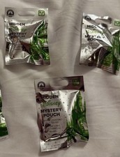 2026 Walt Disney World Hidden