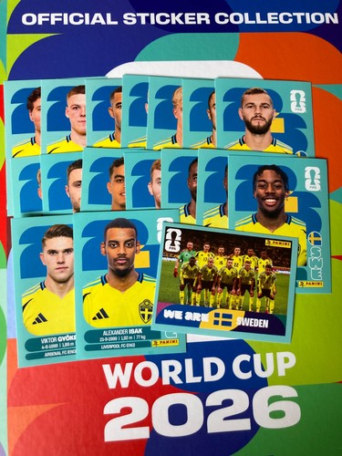 Choix suede panini sticker - suede,