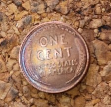 1909 S VDB PCGS VG Detail -