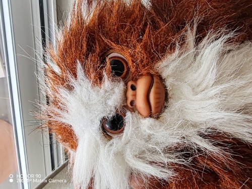Warner bros peluche gizmo - peluche,