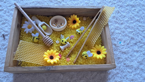 Plateau sensoriel montessori - plateau,