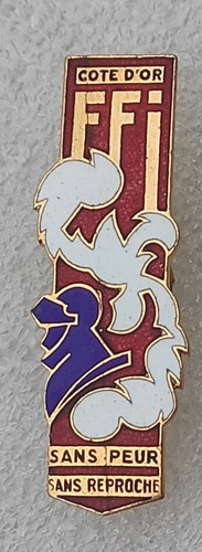 Insigne ffi cote d or - la, d'or