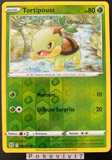 Carte Pokemon TORTIPOUSS