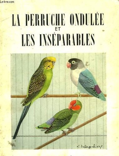 Perruche ondulée les - la,