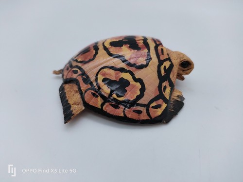 Tortue matériaux naturels - tortue,