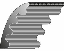 Courroie Crantée Tondeuse