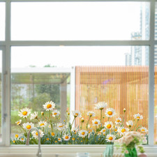 Pour portes vitrées fleur