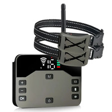 Collier Anti-Fugue Chien Sans