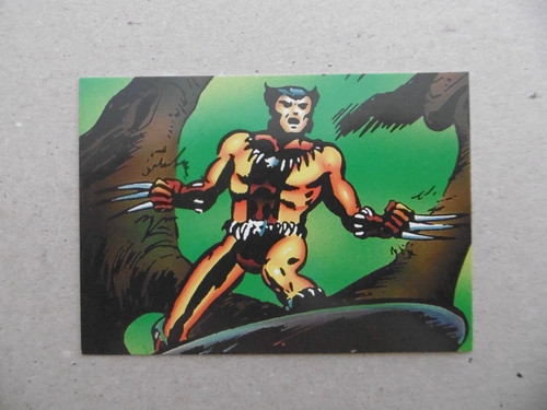 Wolverine costume - #,