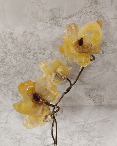 Orchidées ivoire coquillages - orchidées,