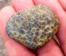 superb Variolite 36mm Natural Raw Volcanic Rock Minerals Fine Stone