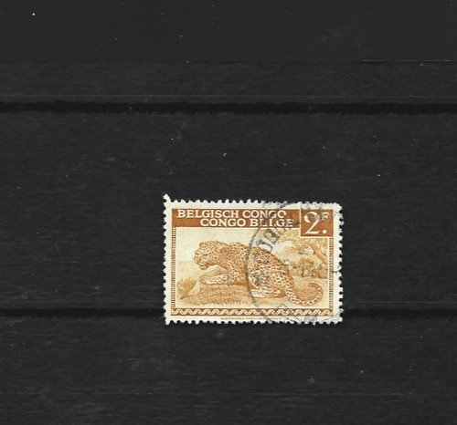Congo belge 262 léopard - congo,