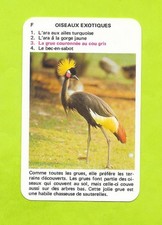 Card No. F3 - Exotic Birds - Grey Neck Crowned Crane