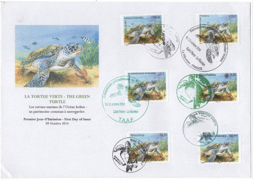 Fdc tortue verte green - la,