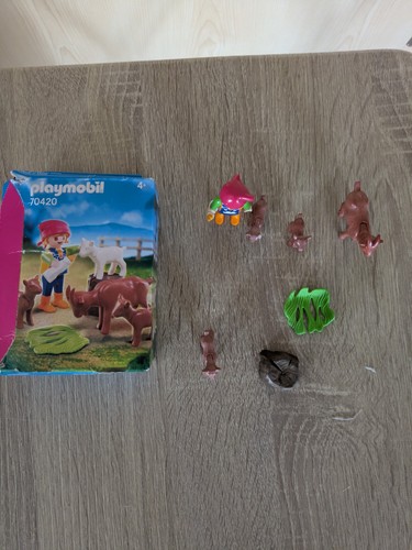 Playmobil set complet 70420 - set,