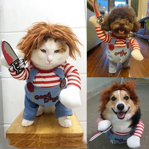 Deguisement chien chat - deguisement,