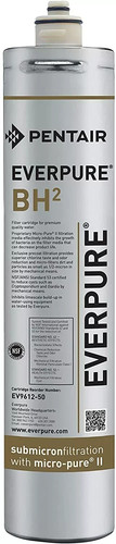 Filtre everpure bh2 cartouche - bh2,