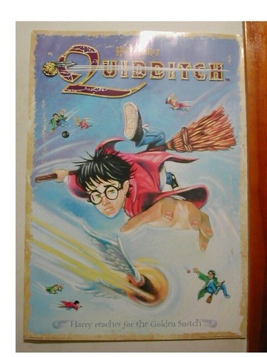Affiche harry potter quidditch - affiche,
