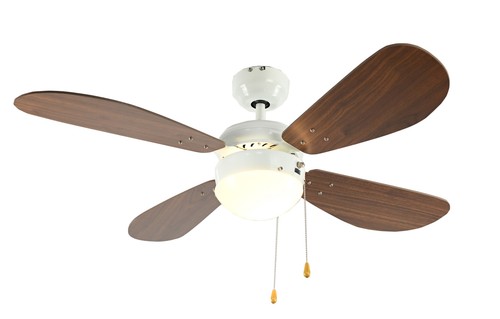 Petit ventilateur plafond - ventilateur, de