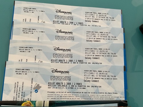 Billets adulte disneyland - 4,
