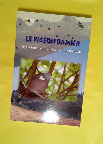 Pigeon ramier columba - ramier,