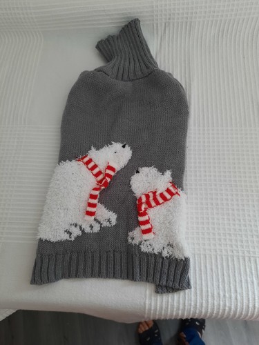 Pull pour chien