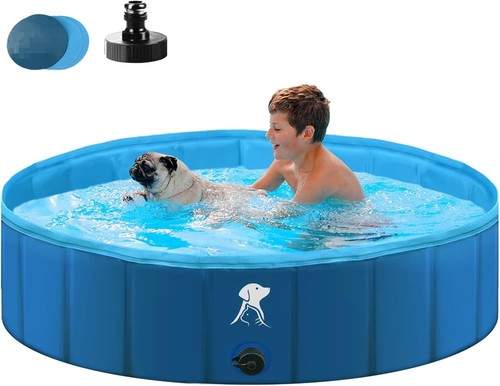 Piscine pour grands chiens - piscine, et