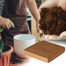 Fibre de noix de coco